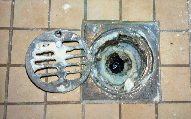 https://kensingtonblockeddrains.com.au/uploads/2025/07/blocked-shower-drains-33151.jpg